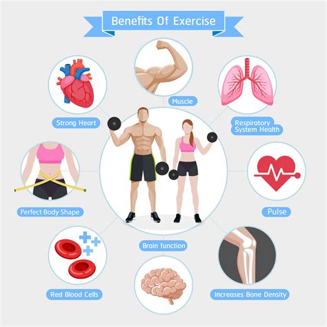 benefits  exercise vector illustrations diagram  vector art