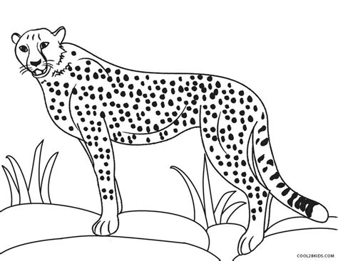 cheetah coloring page printable