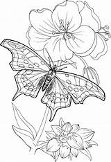 101coloring Characteristic Plants Papillon Stumble Desenhoscolorir Coloringsky sketch template
