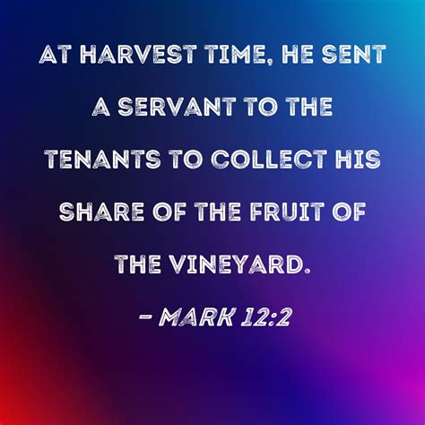 mark   harvest time    servant   tenants  collect  share   fruit