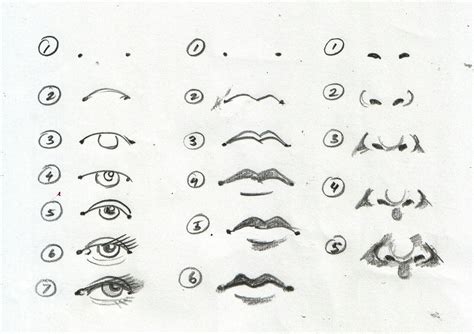 draw eyes nose mouth  ears salma willis