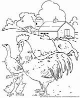Coloring Pages Farm Chickens Choose Board Geese Barn Yard sketch template
