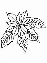 Poinsettia Coloring Flower Pages Color Print Printable sketch template