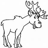 Moose Elk sketch template