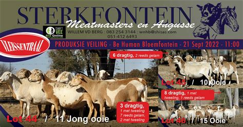 product sterkfontein meatmaster veiling  september