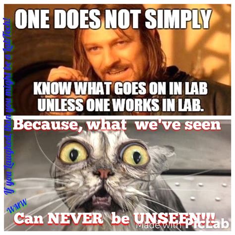 laughed      labtech lab humor laboratory