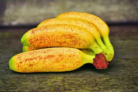 baby bananas mini  photo  pixabay