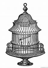 Vintage Clipart Bird Clip Birdcage Cage Drawing Open Printable Cliparts Coloring Fancy Coloring4free Pages Birds Treasure Cages Chest Antique Library sketch template