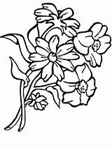 Coloring Pages Food Cluster Nice Flowers Discover sketch template