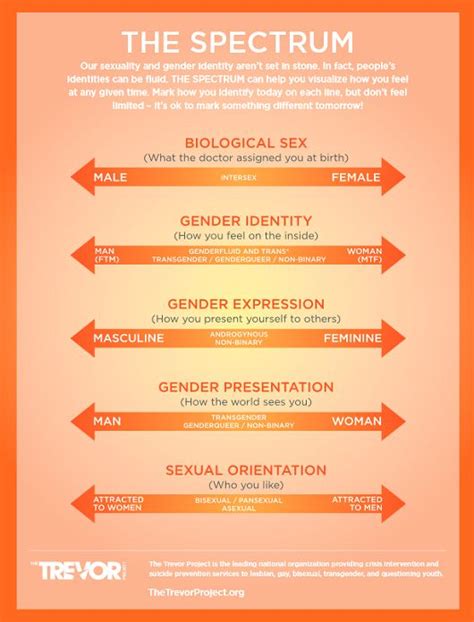 53 best visualizing gender identity binaries spectrums