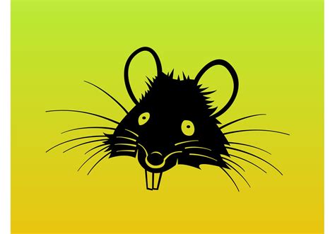 rat cartoon vector   vector art stock graphics images
