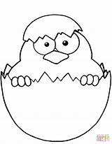 Coloring Chick Egg Easter Pages Baby Shell Yellow Printable Chicks Peeking Template Eggshell sketch template