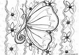 Butterfly Coloring Butterflies Pages Adult Zentangle Printable Kids Color Print Beautiful Colouring Zen Children Book Prints Info sketch template