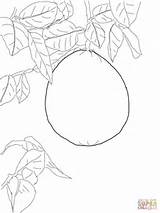 Pomelo Coloring Tree Pages Printable Supercoloring Drawing Categories sketch template
