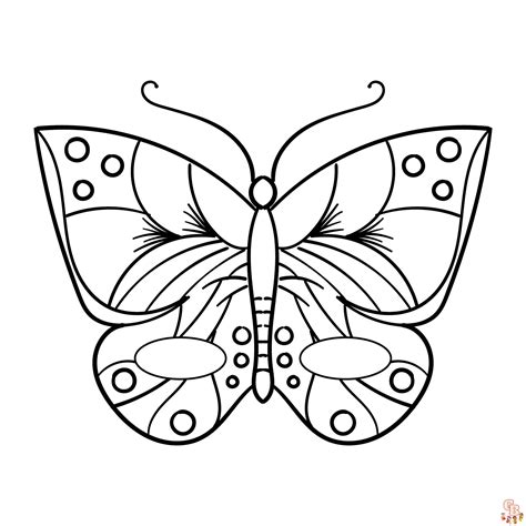 flutter  fun  preschool butterfly coloring pages