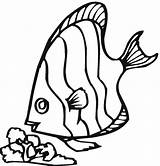 Ryba Peixe Peixes Kolorowanki Animais Wydruku Riscos Kolorowanka Kolorowa Colouring Ryby Comendo Syracuse Qdb sketch template