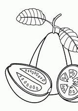 Coloring Pages Fruits Guava Printable Kids sketch template