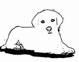Outline Puppy Coloring Dog Comments Popular Coloringhome sketch template