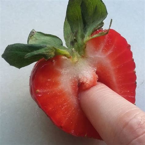we can t stop looking at these extremely sexual photos of fruit