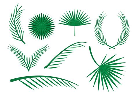 palm leaf svg  cricut