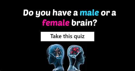 Do You Have A Male Or A Female Brain