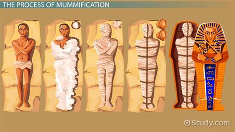 Ancient Egypt Mummification Process Step By Step