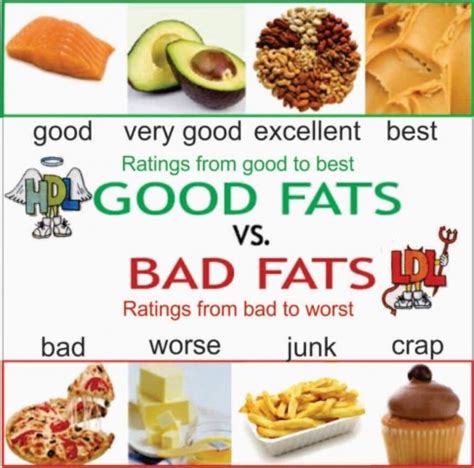 fats healthy fats  unhealthy fats pmf ias upsc