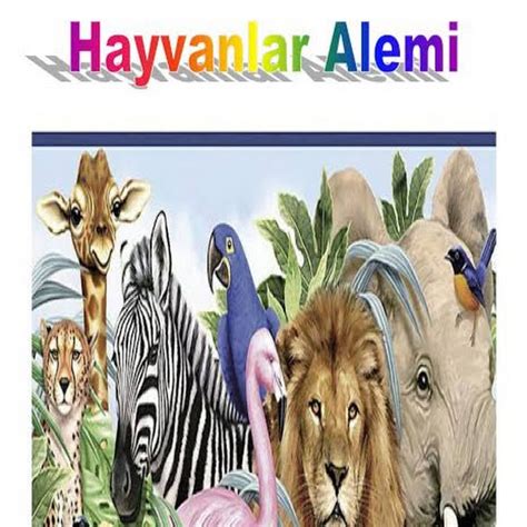 hayvanlar alemi youtube