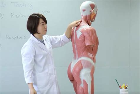 Korean Physical Therapy Association World Physiotherapy