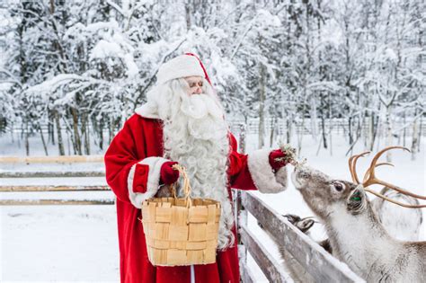 Santa Claus Feeding Reindeer Rovaniemi Lapland Finland 4 3 Lapland