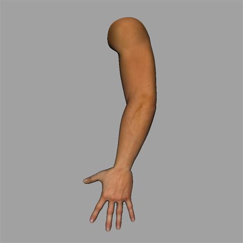 realistic male arm model turbosquid