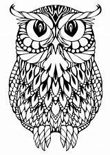 Hard Coloring Pages Animal Pattern Owl Printable Colouring Getcoloringpages Color Colour sketch template