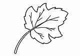 Leaf Coloring Pages Kids Printable Leaves Preschool Grapes Clipart Children Print Drawing Pretty Book Trees Beautiful Activityshelter Popular Via 4kids sketch template