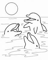 Dolphin Coloring Pages Printable Kids sketch template