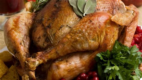 you may be able to tell the age and sex of your thanksgiving turkey