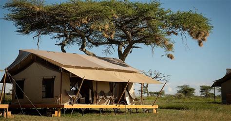 siringit serengeti camp  serengeti national park luxury safari camp   serengeti