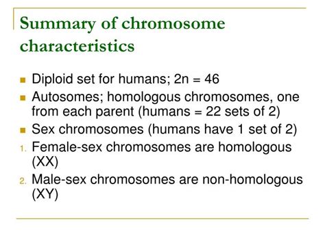ppt summary of chromosome characteristics powerpoint