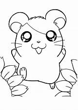 Coloring Hamster Pages Cute Hamtaro Color Print General Style Kids Coloringhome Comments sketch template