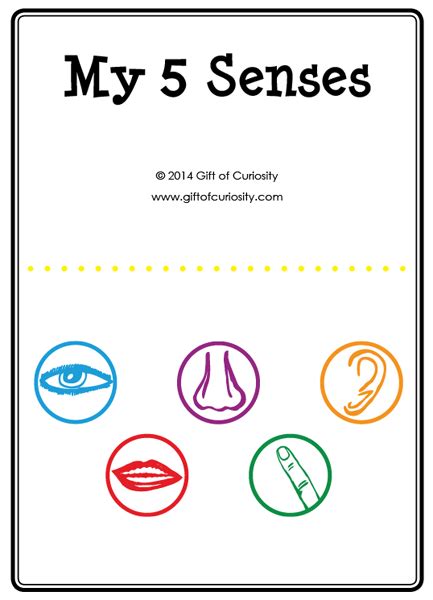 senses activities  printable   senses activity book