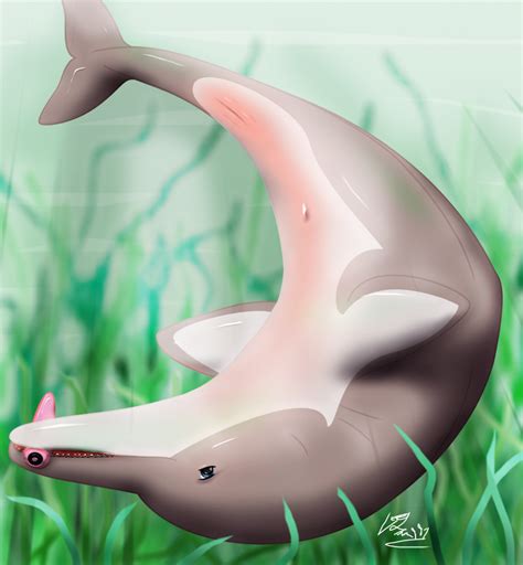 rule 34 belly cetacean dildo dolphin female feral