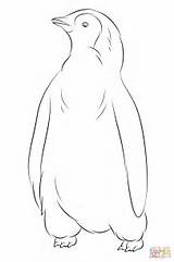 Penguin Coloring Baby Pages Penguins Printable Cute Drawing sketch template