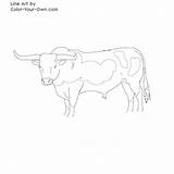 Longhorn Coloring Cattle Drawings Bull Color Designlooter Bulls Line Pages 04kb 500px Printable Paintingvalley sketch template