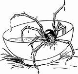 Spider Coloring Pages Cartoon Getdrawings sketch template