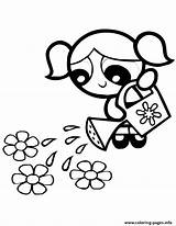 Coloring Powerpuff Girls Pages Bubbles Flowers Watering Buttercup Printable Waters Clipart Water Puff Drawings Drawing Power Cartoonbucket Info Line Pages2color sketch template