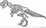 Dino Skelett Malvorlage Dinosaurier Dinosaurs Fossils sketch template