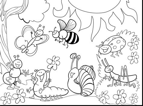 cute insect coloring pages  kids  images  coloring pages
