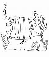 Coloring Fish Illustration Angel sketch template