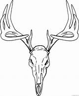 Deer Skull Clipart Drawing Clip Coloring Pages Mount Head Buck European Printable Svg Reindeer Vector Mule Coloring4free Mounts Transparent Graphics sketch template