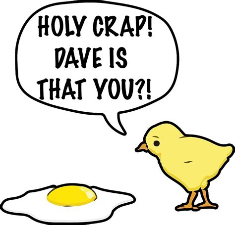 funny holy crap dave    joke chick egg  benniboom redbubble