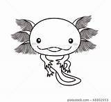 Axolotl Wooper sketch template